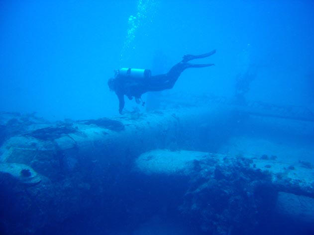 Diver Explores Second PBJ